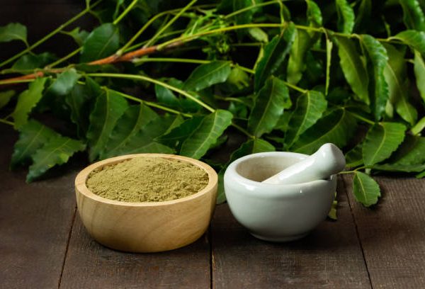 Strongest Kratom Brands for 2024 Where to Buy the Most Potent Kratom